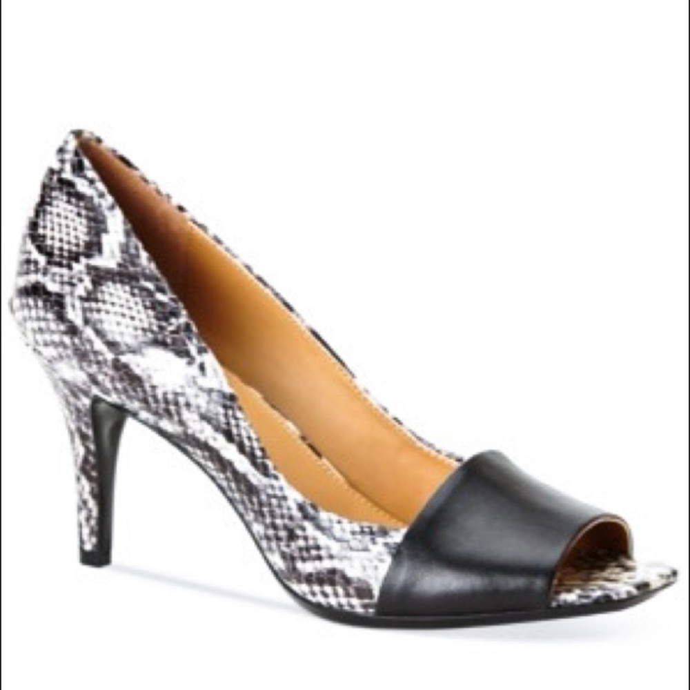 Calvin Klein Nareen Spectator Pumps